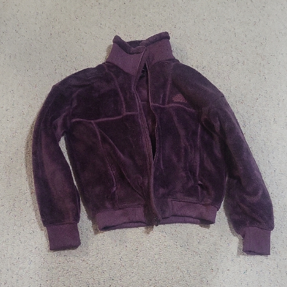 The North Face Deep Purple Fleece Jacket